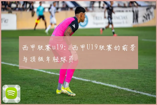 西甲联赛u19：西甲U19联赛的前景与顶级年轻球员