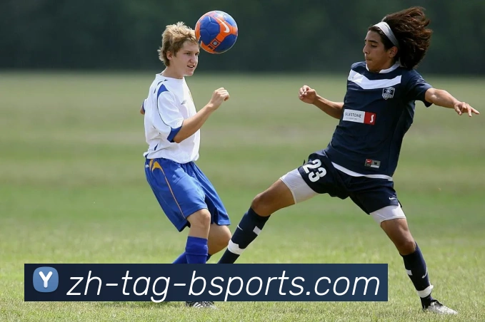 App Interface Preview